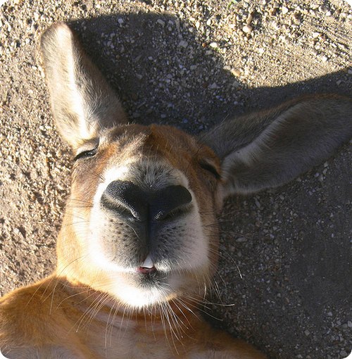 Володимир Віталійович | Львов