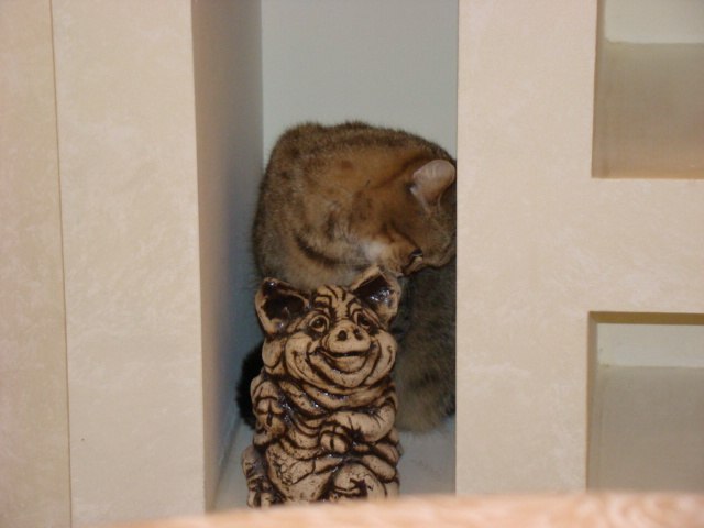 Мария Брызгалова | Пермь