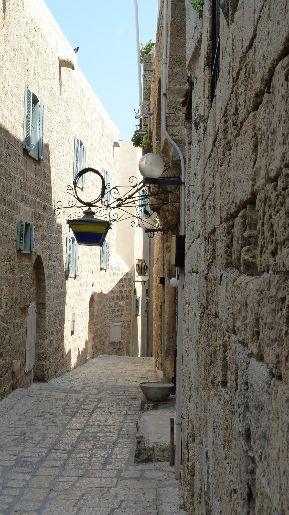 Соня Михалёва | 