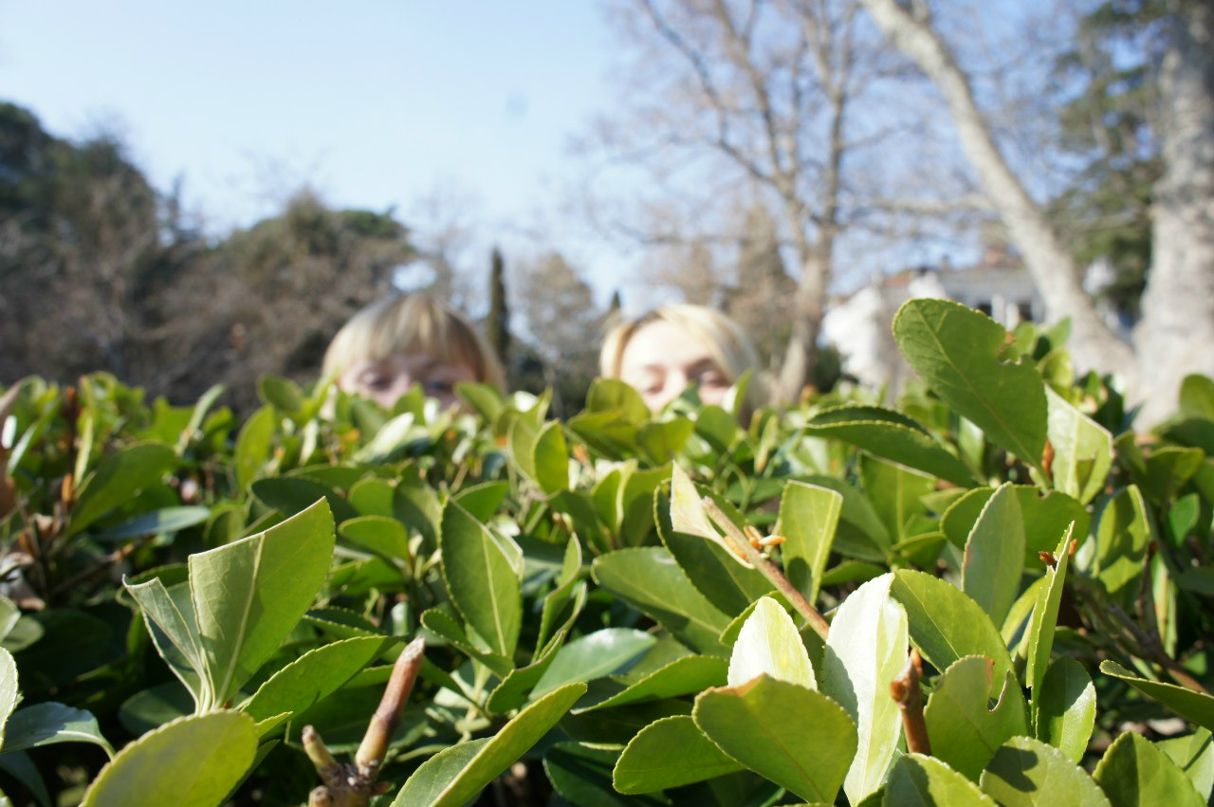 Алексей Алексеев | 