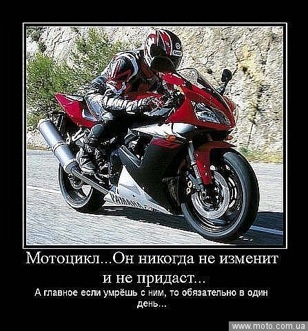 Дмитрий Шарапов | Клин