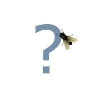 №25, Артур Заскальнюк, 28 лет №25, Артур Заскальнюк, 28 лет