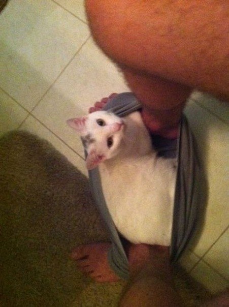 Никита Никита космонафт | 