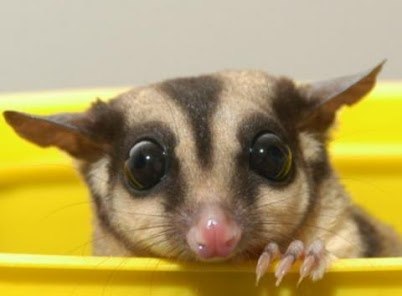 Влад Мосиенко | 