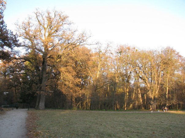 №65, Андрий Будугай, 59 лет, Переяслав-Хмельницкий №65, Андрий Будугай, 59 лет, Переяслав-Хмельницкий