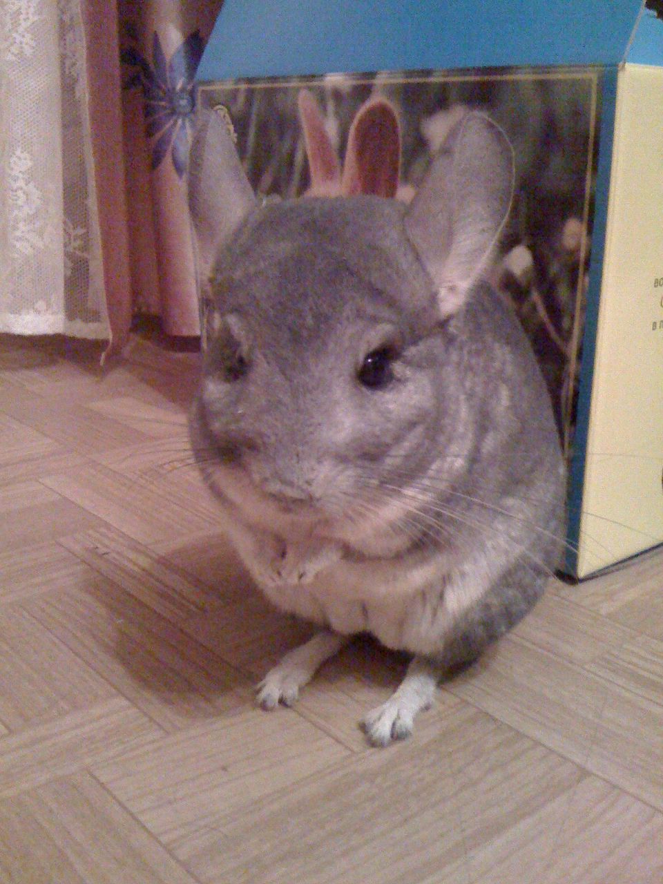 Никита Попов | Санкт-Петербург