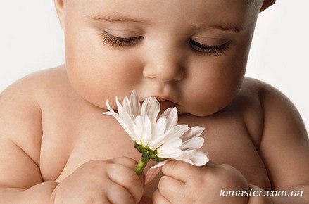 Людмила Бокало | Львов