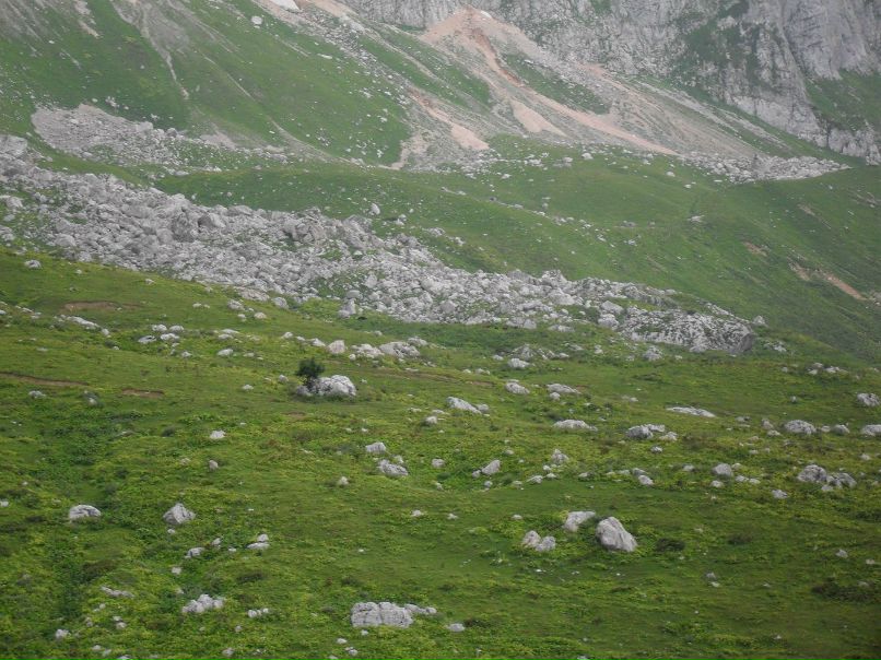 Дарья Торпачева | Сочи