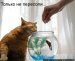 Санька Fishka фотография #13 (источник - https://vk.com/id4304457)