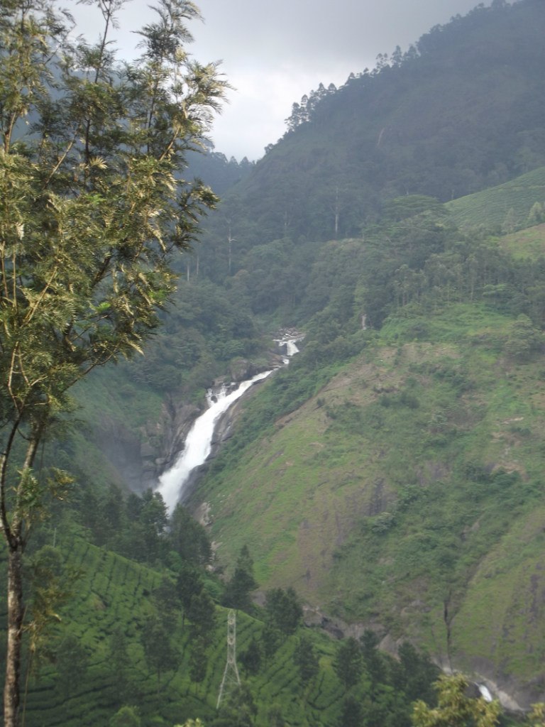 Игорь Гоголев | Тель-Авив