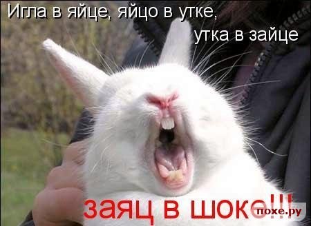 Александр Ермаков | Купино