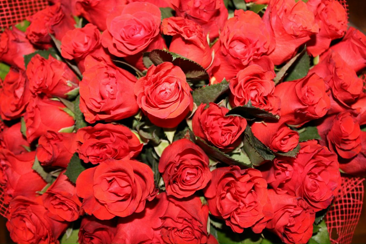 Ольга Калинина | Москва