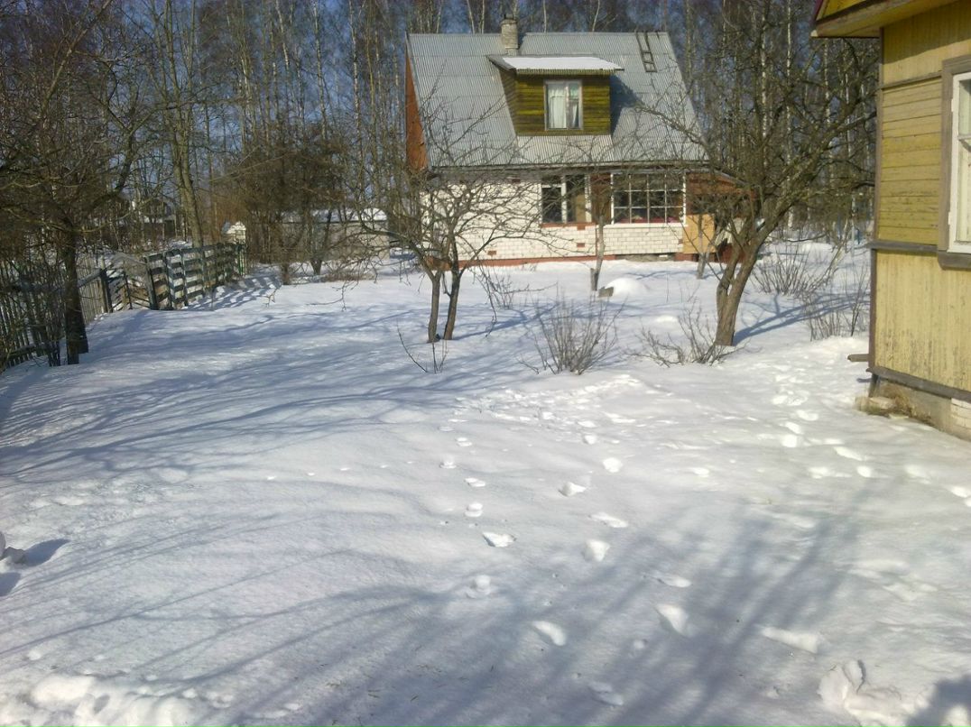 Сергей Меркулов [tlt]kekc | Санкт-Петербург