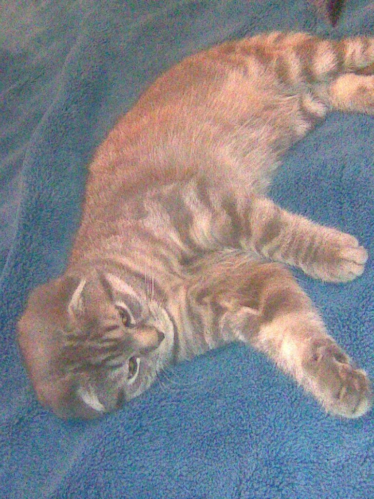 Галина Бызова | Жуковский