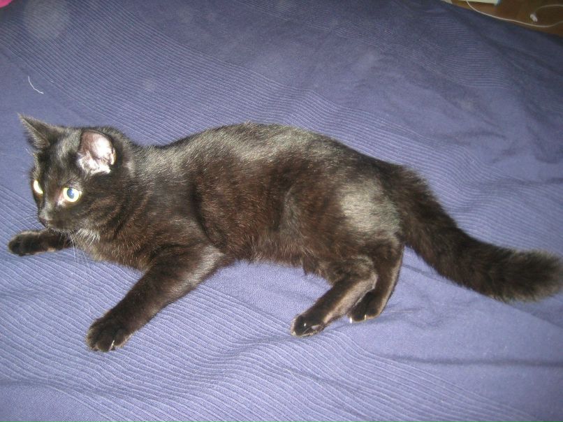 Евгения Огнева | Тверь