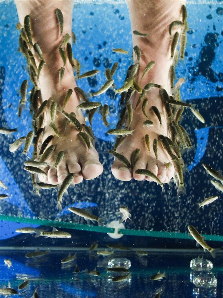 Алиса Алексеева | Москва