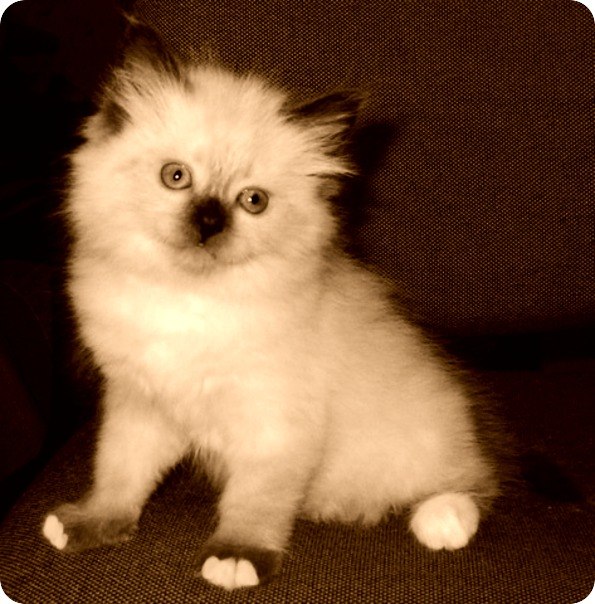 Анастасия Саввина Владимировна | Москва