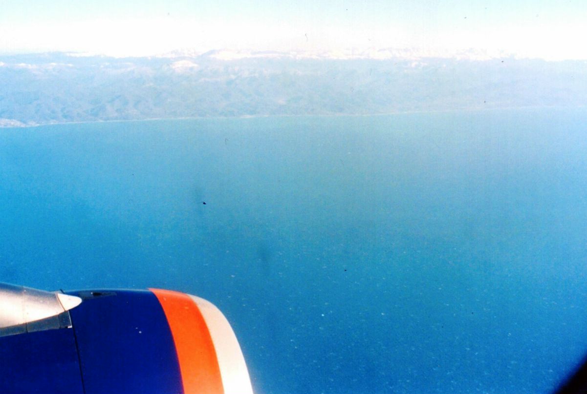 Ольга Старшинова - ostar - | Москва