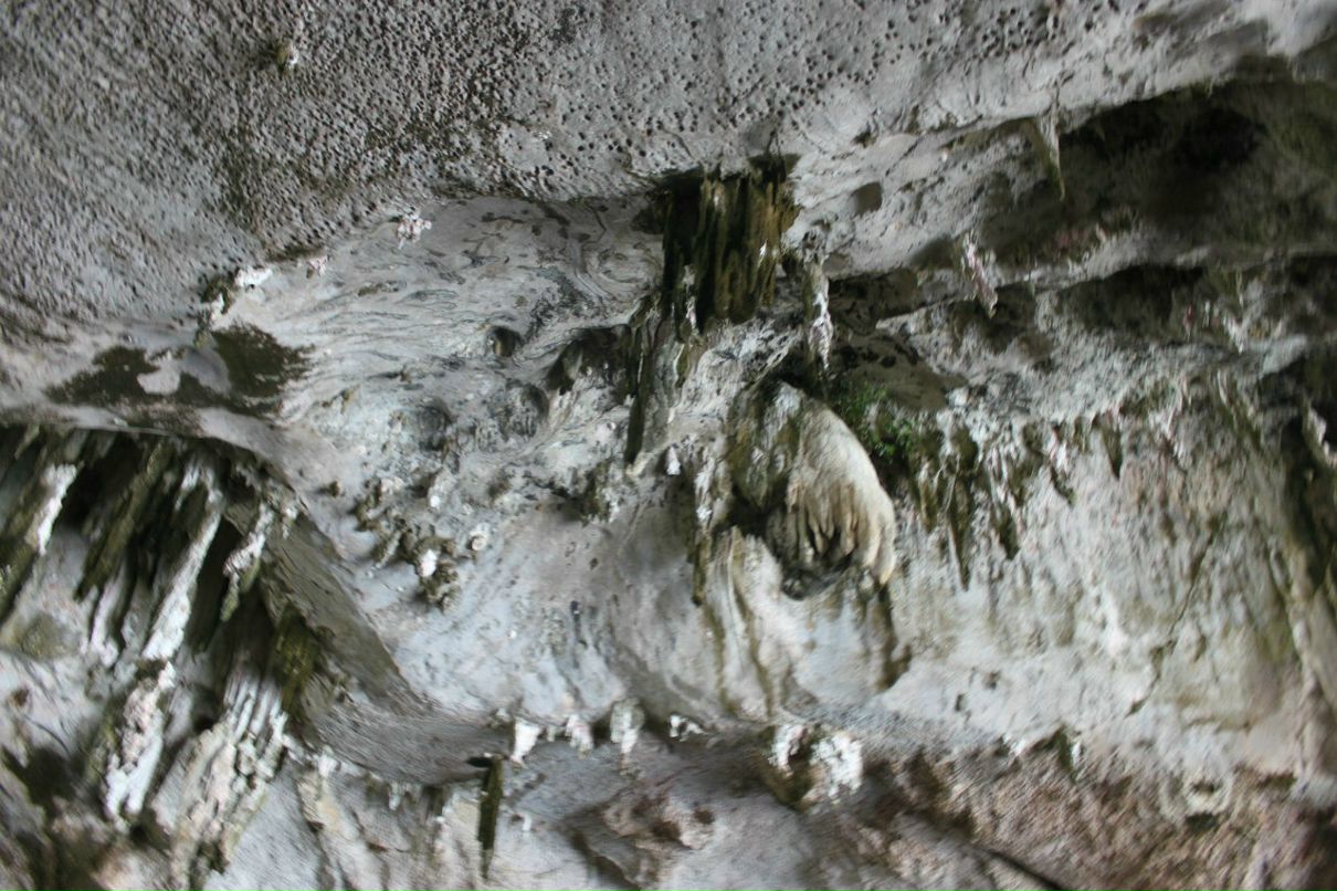 Сергей Гаврилов | Санкт-Петербург