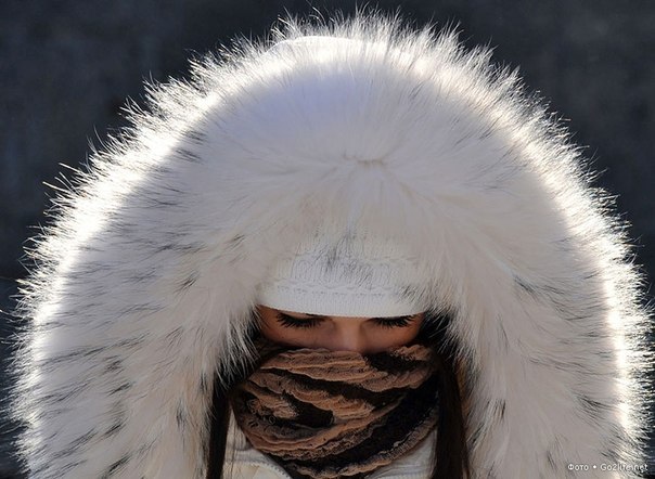 Лариса Chaika | Москва