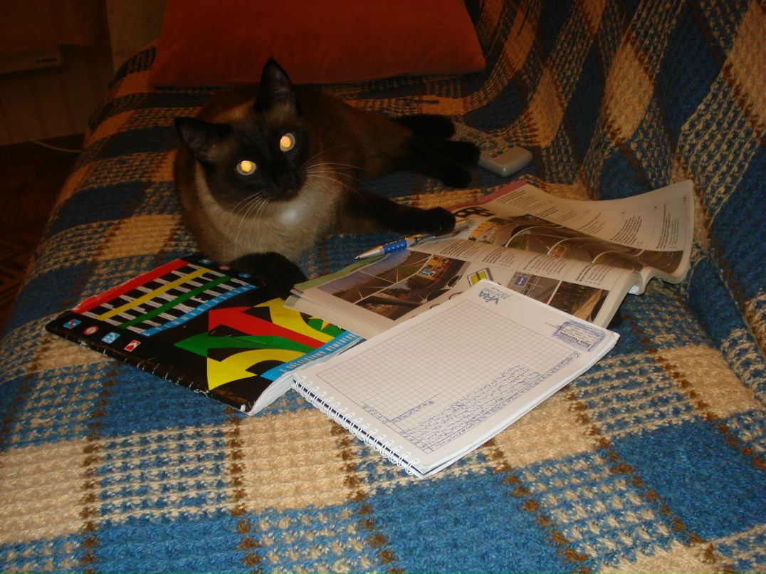 Наталья Тихая | Подгоренский