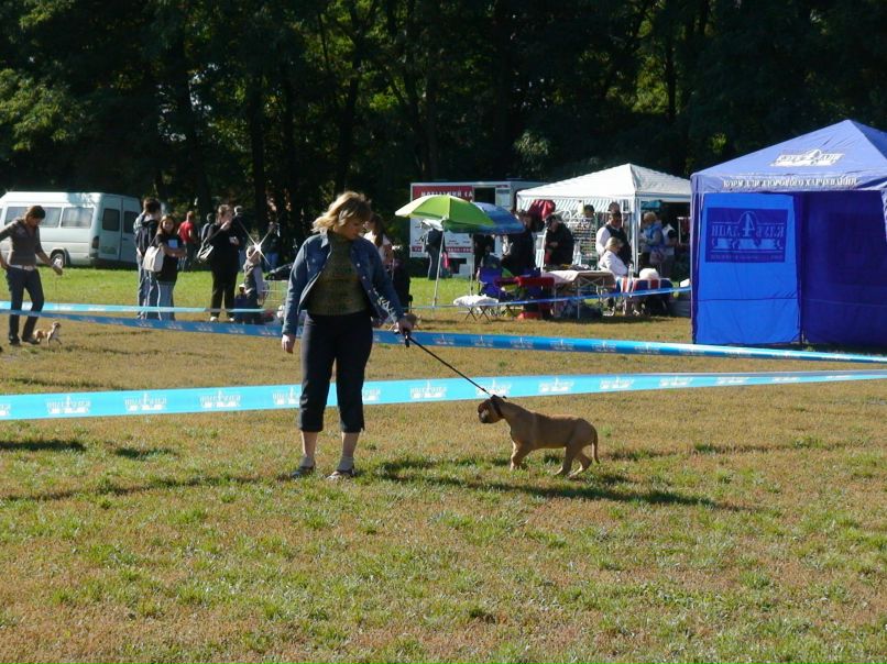 Сергей Кушнир | Черкассы
