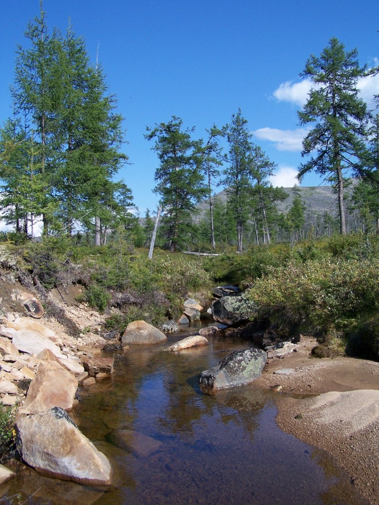 Павел Серкин | Кумора