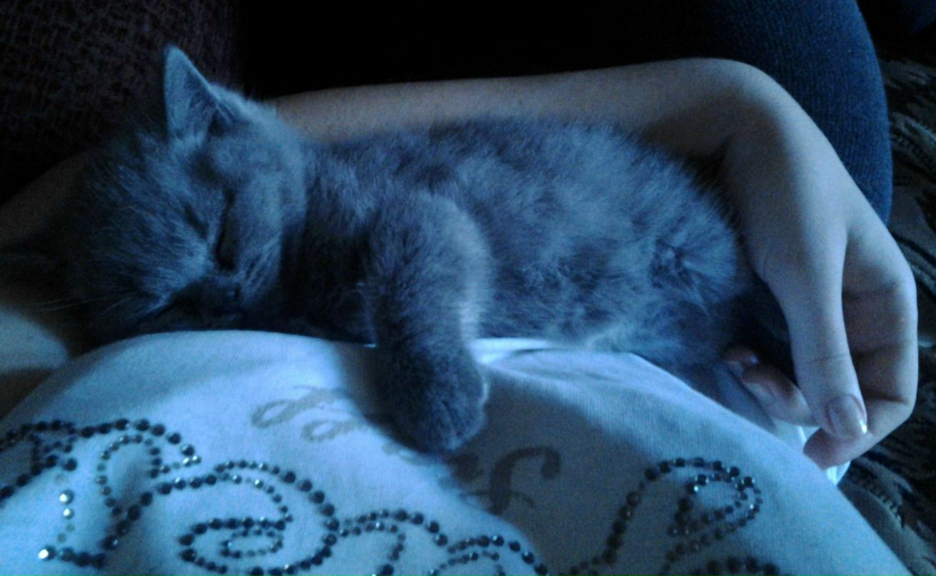 Ольга Класс | Санкт-Петербург