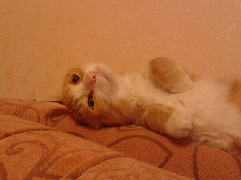 Annette Kushnerova | Барнаул