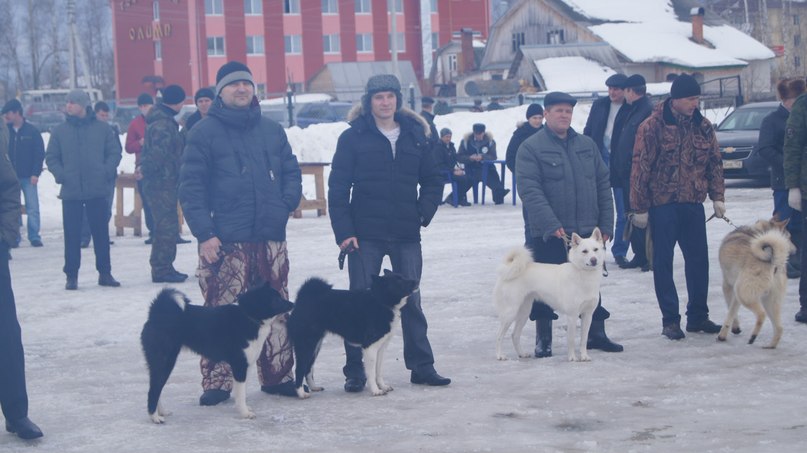 Артем Майоров | Аламасово