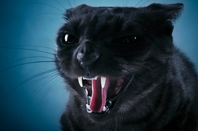 Станислав Екимов | Омск