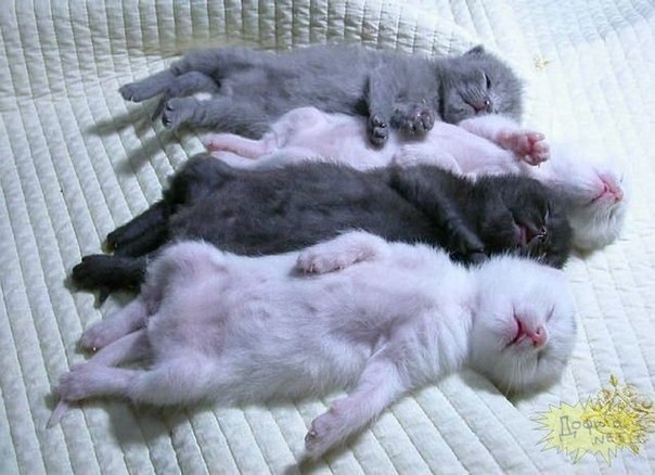 Антон Ветерков | Екатеринбург