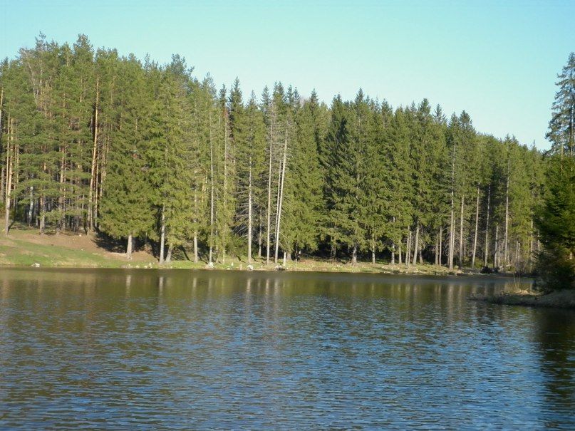 Петр Евдокимов | Можга