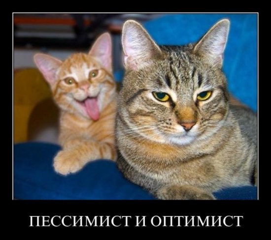 Андрій Аверін | Киев