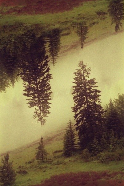 Вадик Песоцкий | Москва