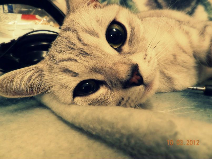 Полина Трифонова | Витебск