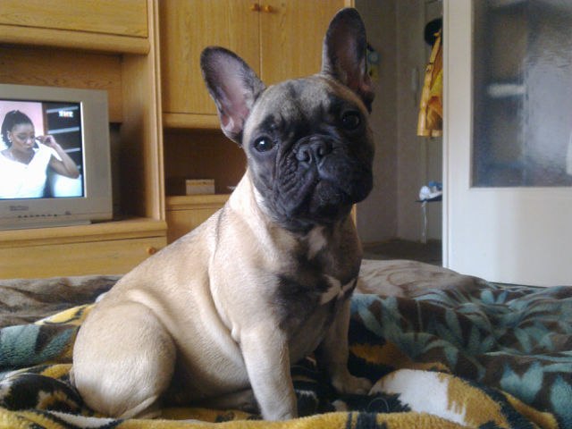 Рената Бадрутдинова | Москва