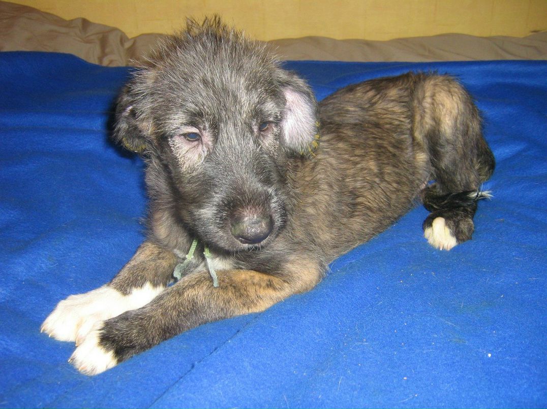 Андрей Ждахин | Екатеринбург