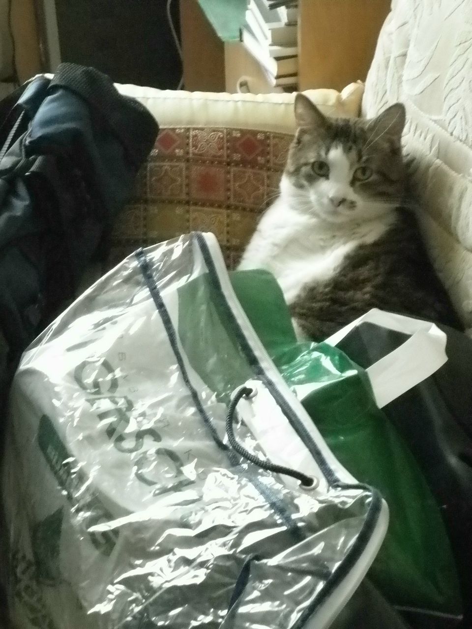 Ирина Кузина | Санкт-Петербург