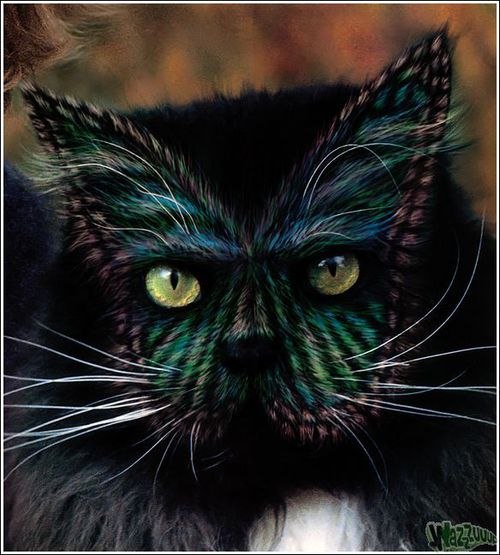 Ната Поспелова | Санкт-Петербург