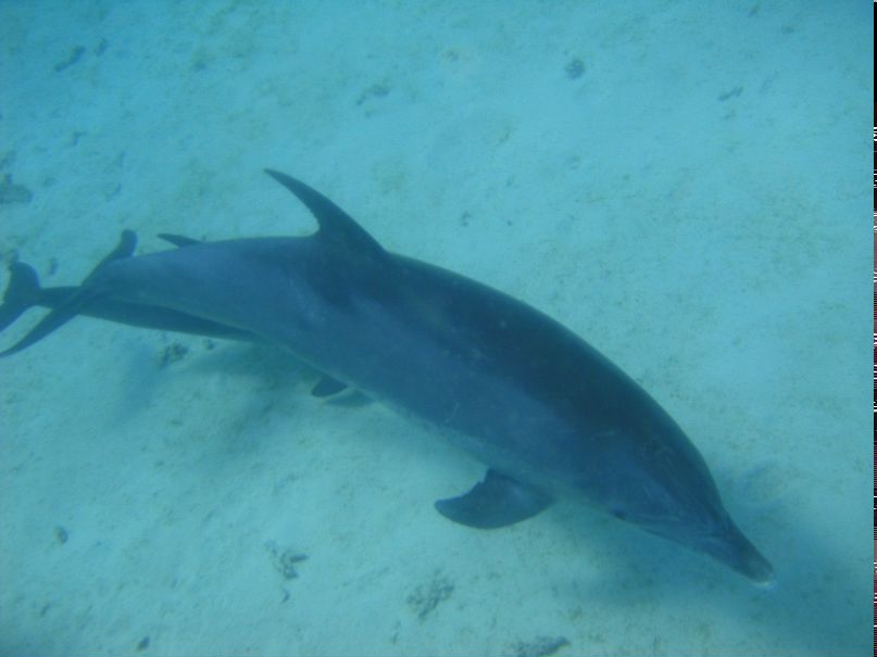 Анастасия Васильева | Калуга