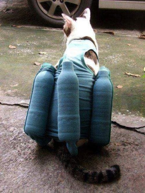 Елисей Куликовский | Химки