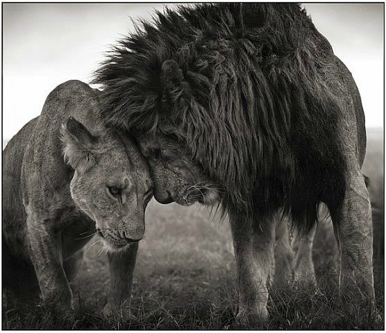 Даша Батвиловская | 