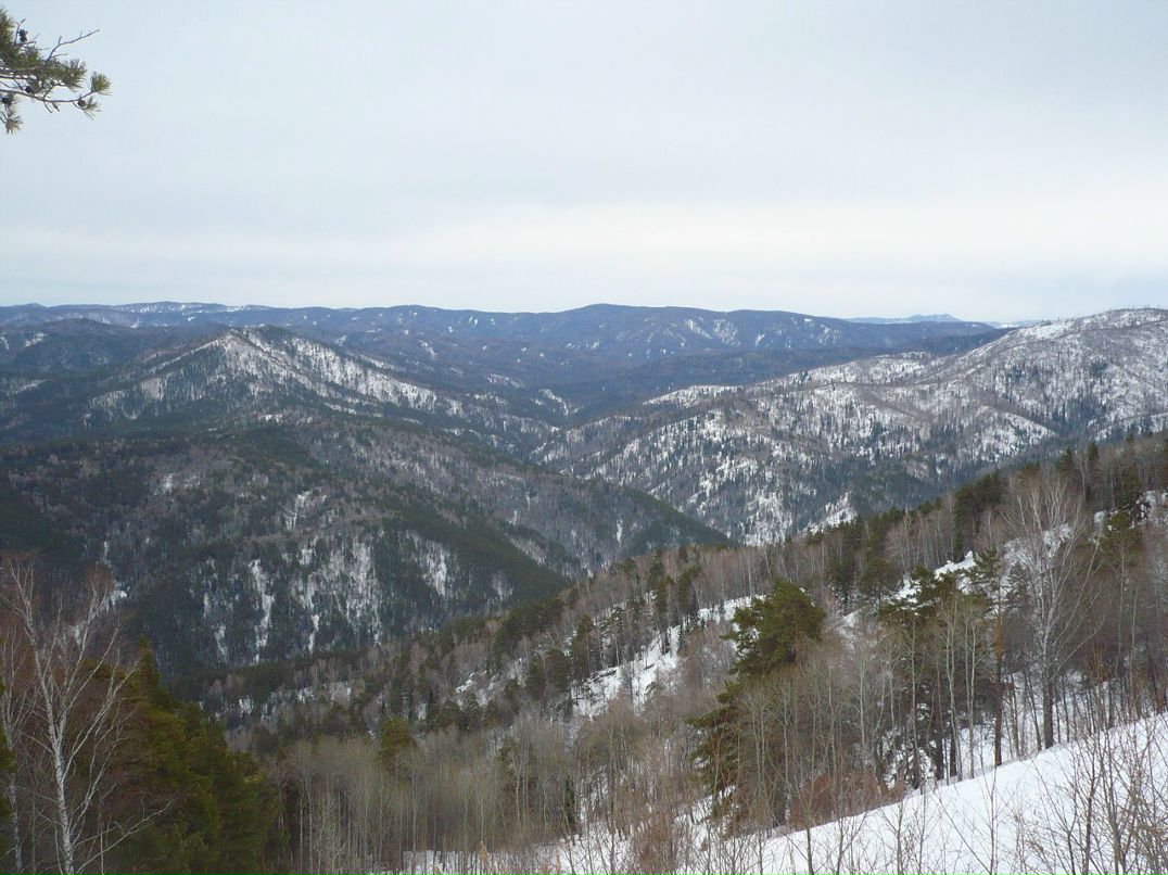 Сергей Рябухин | Калининград