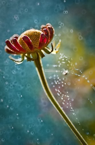 Индира Махмутова | Москва