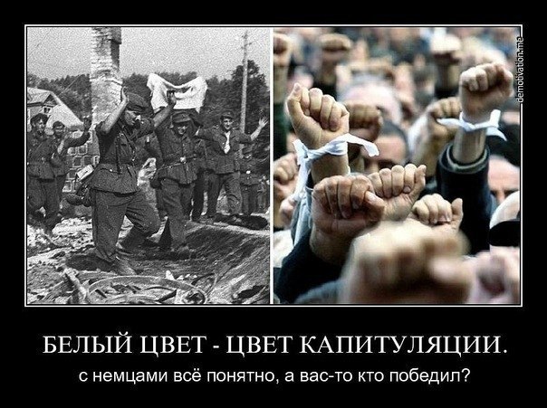 Андрей Журавлёв | Владимир