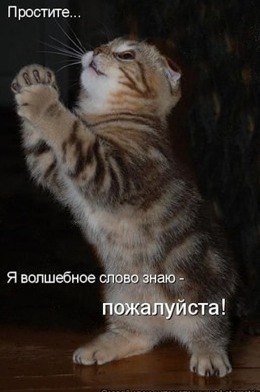 Дмитрий Смоляк | Москва