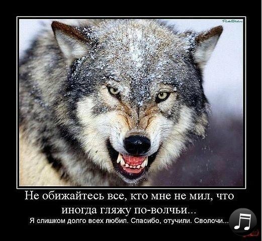 Олег Волк ********VOLK******** | Красногвардейское