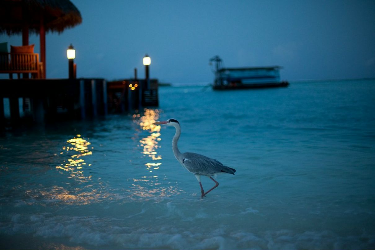 Катя Екатеринославская | 