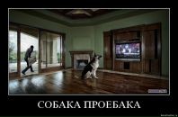 №38 Александр Оболенцев 28.04.1986: профиль, фото, статус - ВКонтакте